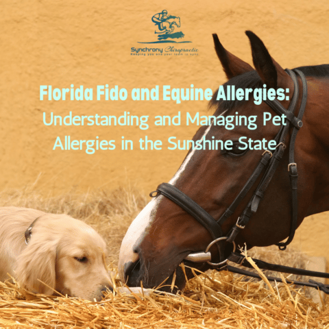 Florida Fido and Equine Allergies: Understanding and Managing Pet Allergies in the Sunshine State