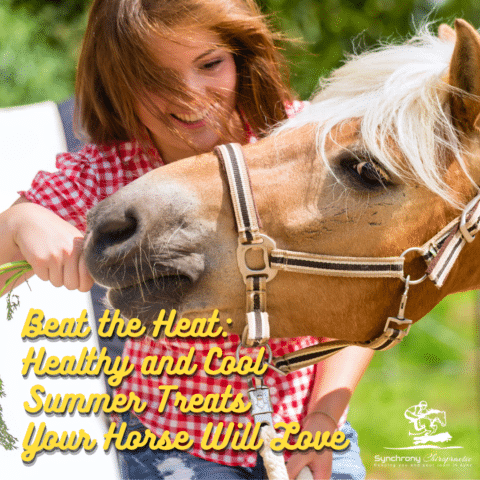 Beat the Heat: Healthy and Cool Summer Treats Your Horse Will Love