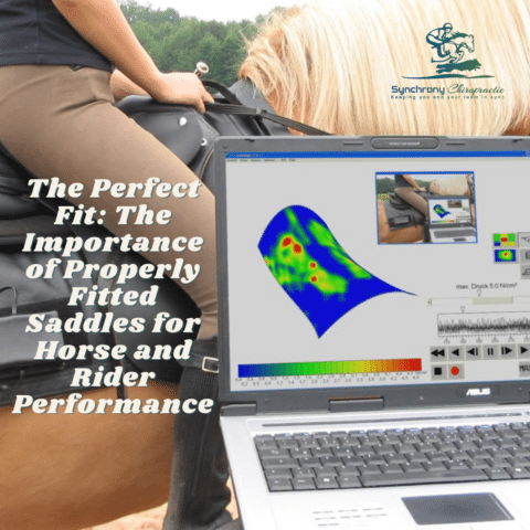 The Perfect Fit: The Importance of Properly Fitted Saddles for Horse and Rider Performance