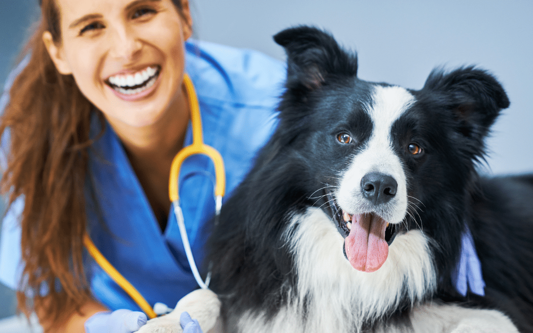 Animal Care Near Me: Vet’s Secret to a Happy Pet!