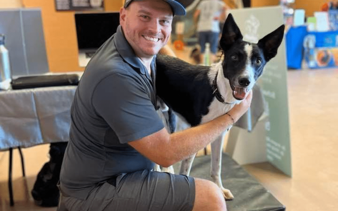 Dog Chiropractor Near Me: Transform Your Pet’s Health Now