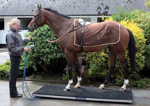 The Fine Line: A Rib-Tickling Journey to Pet Weight Wellness