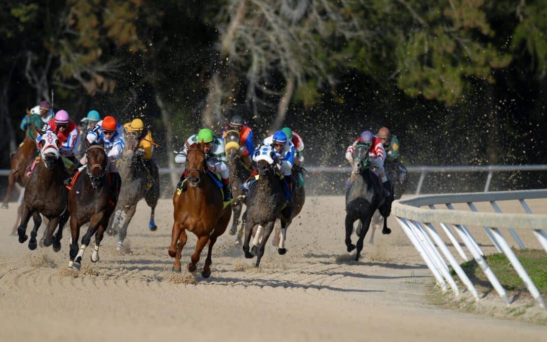 Preventing Injuries in Competitive Horses
