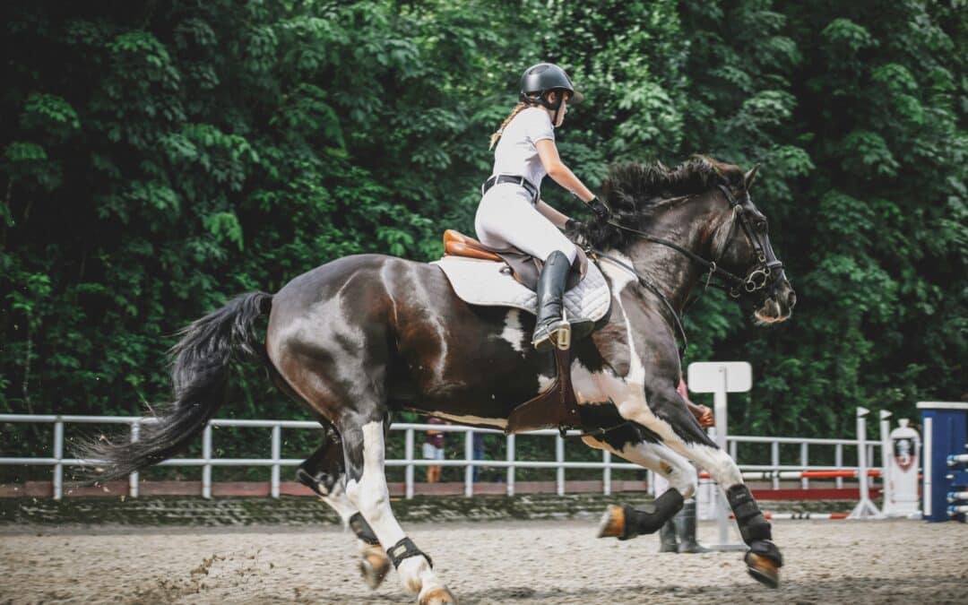 Improving Horse Performance with Chiropractic