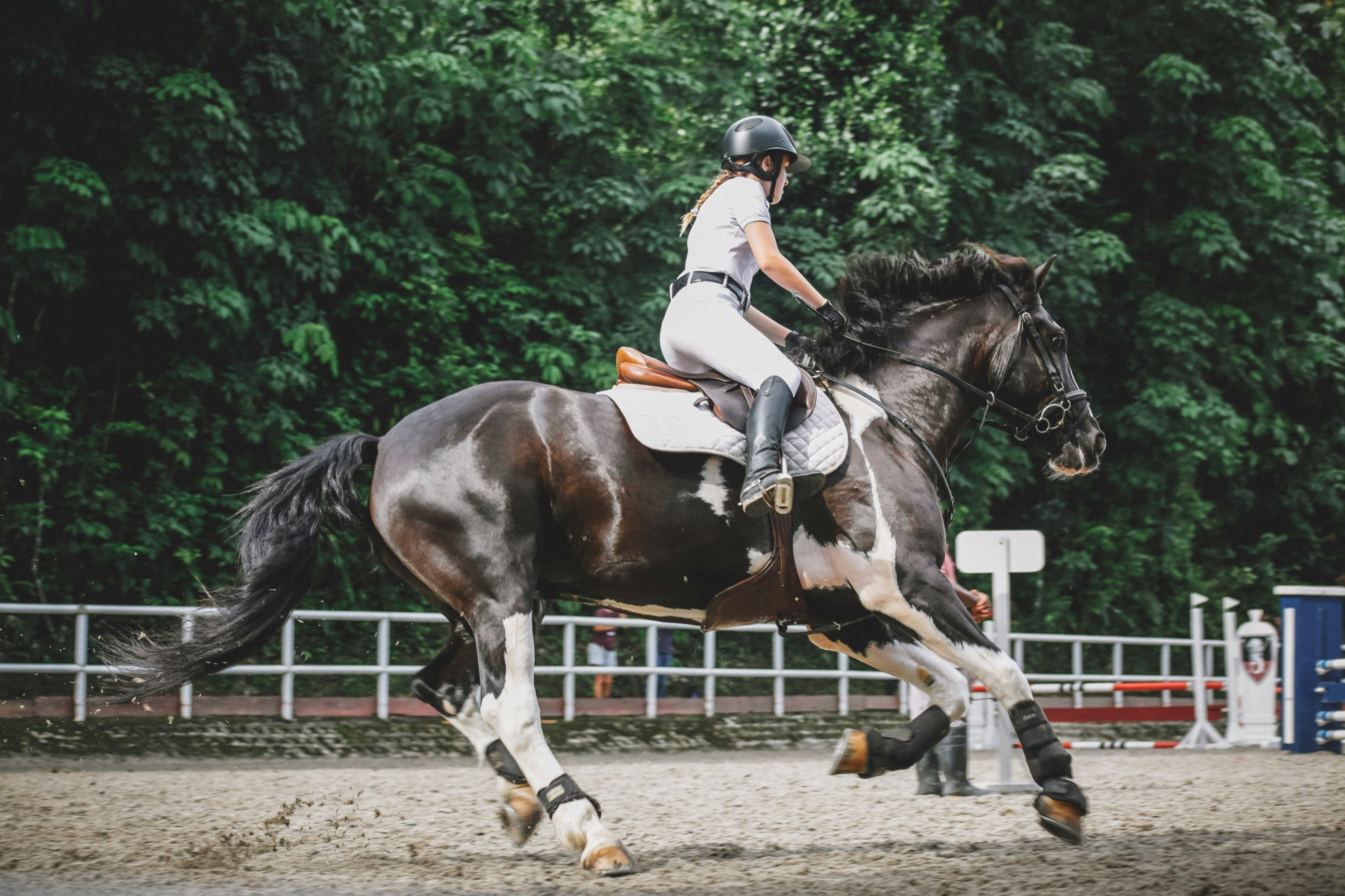 Improving Horse Performance with Chiropractic